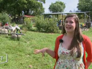 Wwoofing : des vacances écolos et gratuites (Vendée)