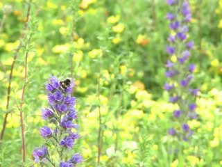 Olympic Park brings colour to 2012 Olympics