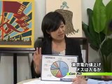 20120710「架空の儲け」にメス入るか～東電料金値上げ問題 OurPlanetTV