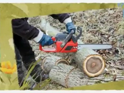 Cheetah Tree Service - 302-293-6673