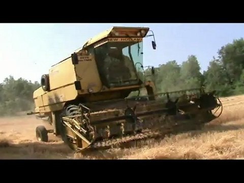 Tovoion News Channel ΘΕΡΙΣΜΟΣ ΣΤΗΝ ΠΕΡΙΣΤΕΡΑ ΒΟΪΟΥ 2012