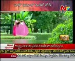 Box Office - Tollywood Latest Film News - 08th Mar 12 - 03