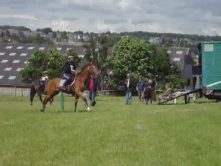 jumpcross marchin sophie et pilou super parcours domage pour l eau