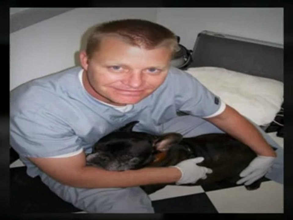 Start Looking for Pet Supplies at your Dollar Store- Opening A Dollar Store