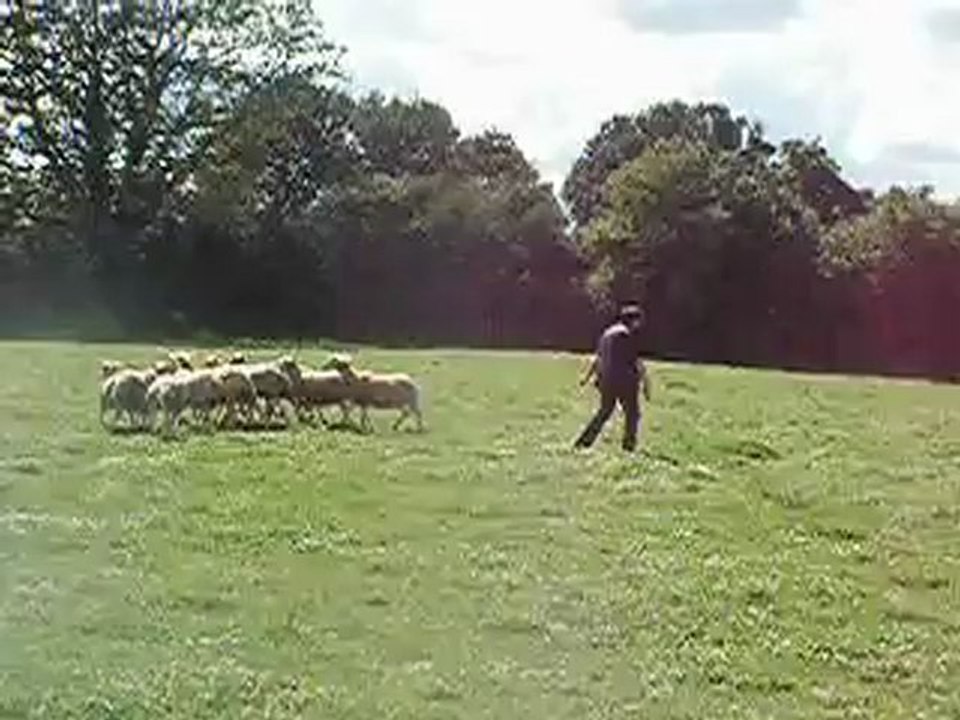 Gus se déclare !