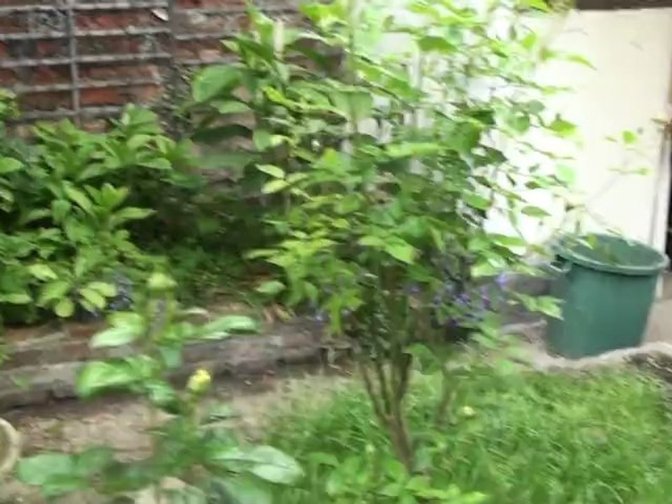 Au carre saint eloi Maison d'hôtes arras   jardin et sofa cocoon