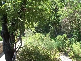 11 07 cigales parc St Bernard Hyères (2)