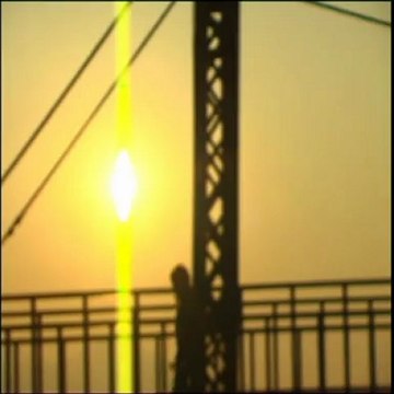 Turan Şengül - Martı