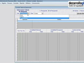 Curso del SIAF 2012 - Módulo Contable P4