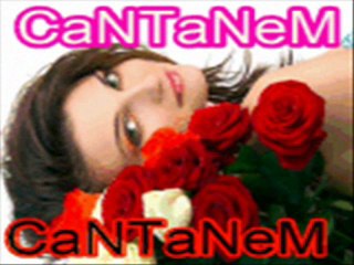 Ben Sevdamı Güle Verdim Şiirli SesliTutkunum.com Bekleriz