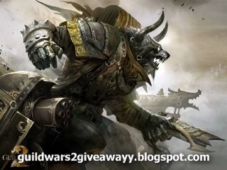 Guild Wars 2 serial