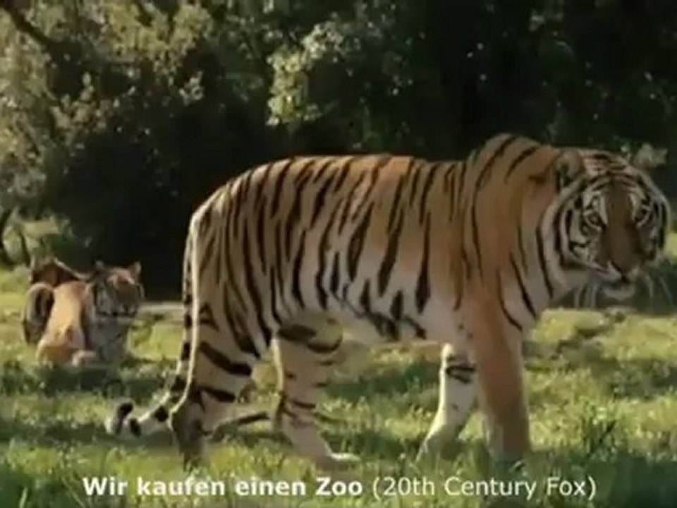 Kinotipps der Woche vom 1. März 2012