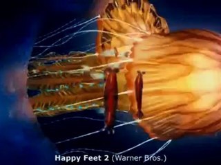 Kinotipps der Woche 1. Dezember 2011