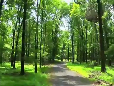 Lot 1 Geigel Hill Rd, Upper Black Eddy, PA