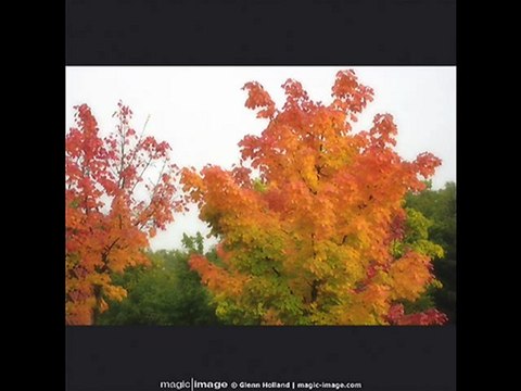 Trio Los Panchos - La Paloma