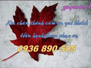 DV sửa chữa điện nước tại quận 1 cell 0907 323 053