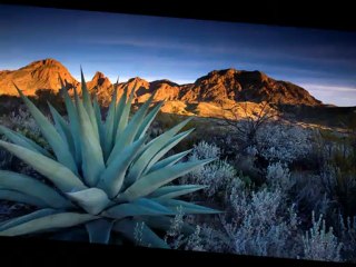 Soehne Mannheims - Ich tue es