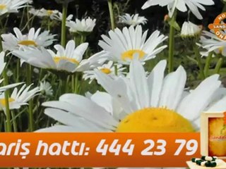 Noter Onaylı Zayıflama - Sandalose