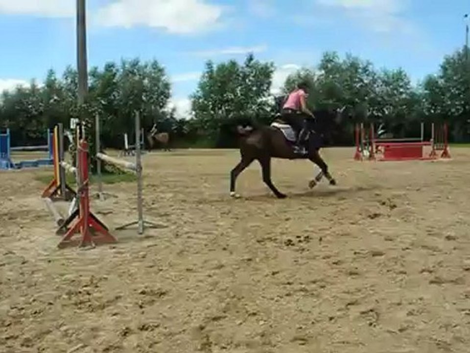 Diamond saut