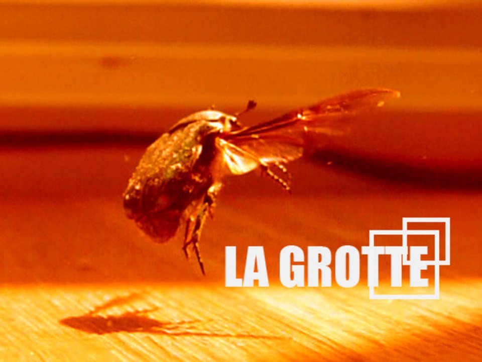 MAI 2011 sur La voix de la grotte