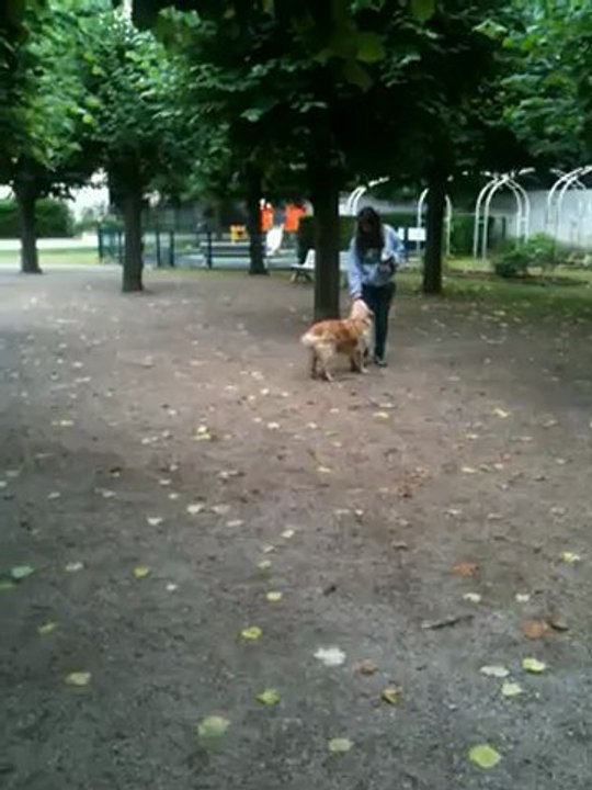 Georgia en plein rappel