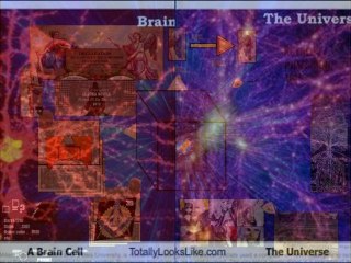 L'UNIVERS ET NOTRE CERVEAU {No Comment}