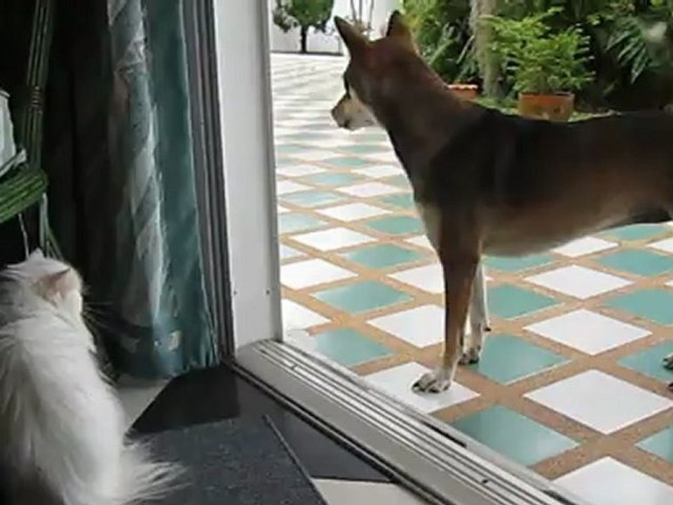 y en a une qui veut jouer...