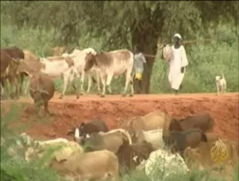 تأثير انفصال جنوب السودان على النشاط الرعوي