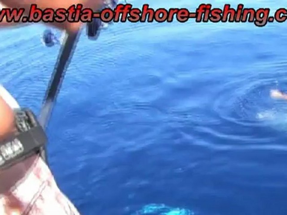 Marquage thon rouge en Corse en no-kill 8 et 9 Juillet 2012 Bastia Offshore Fishing