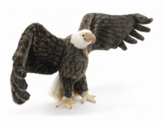 Peluche aigle américain 75 cm