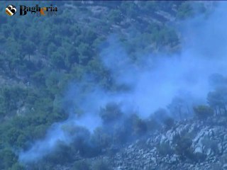 Incendio devasta pineta