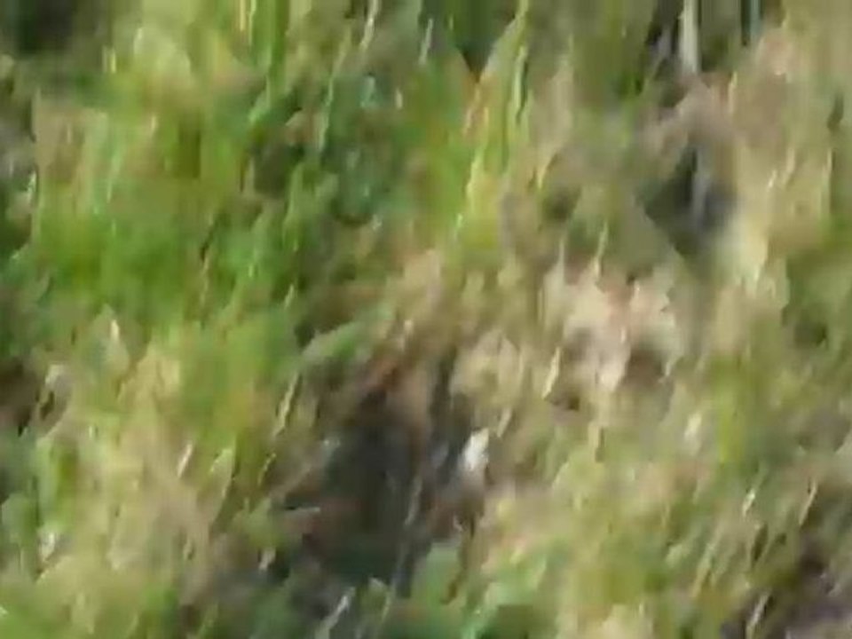 Digger d'araval et Chadia d'araval