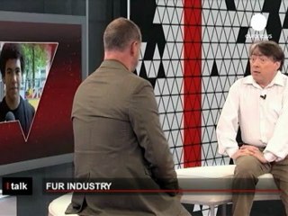 La protección de los derechos de los animales en la...