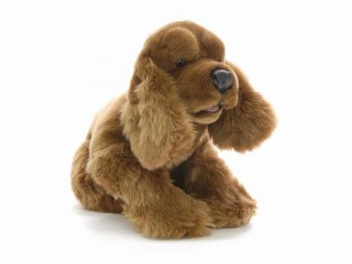Peluche cocker 60 cm