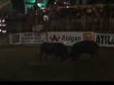 Kafkasör Festivali 2012 Boğa Güreşleri-Başaltı Final Güreşi