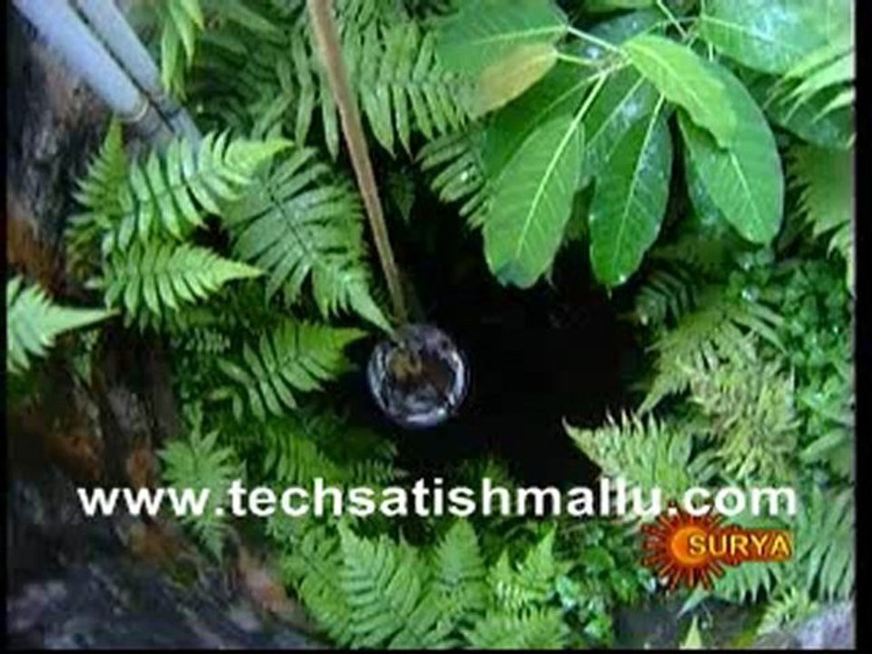 Pattukalude Pattu July 12