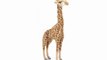 Peluche girafe 90 cm