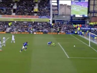 Cahill v Fulham