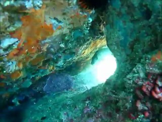 Le grand bleu, c'est bon pour les yeux ! v2