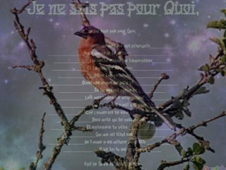 Je ne sais pas pour Quoi, Poème