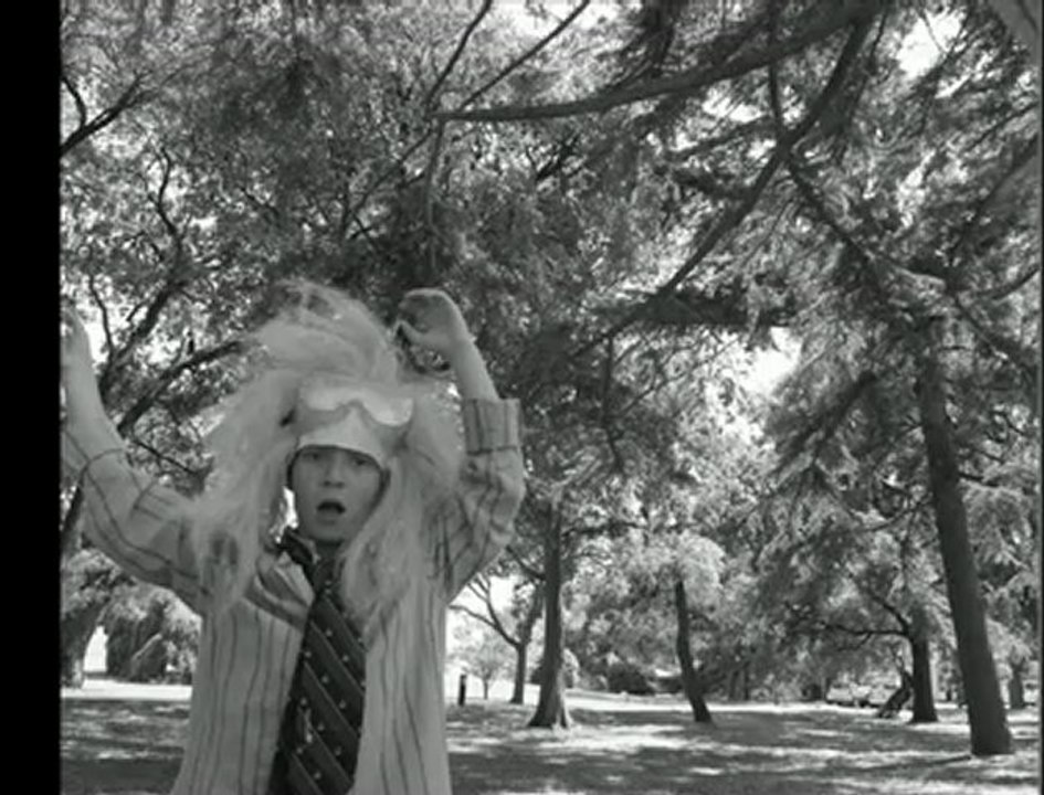 STOP MOTION - La musique adoucit les maux