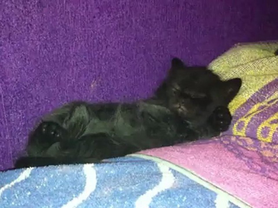 Luna 3
