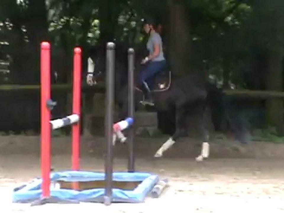 Travail sur le plat 10 07 12.3