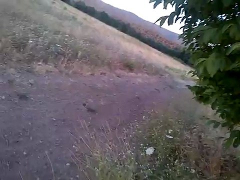 VID-20120710-00002