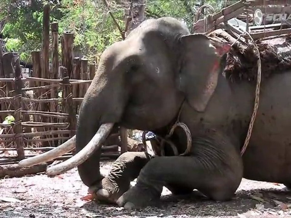 Cambodia Bike Adventure Episode #3 - Never Stop Riding