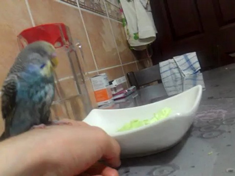 VIDEO0064
