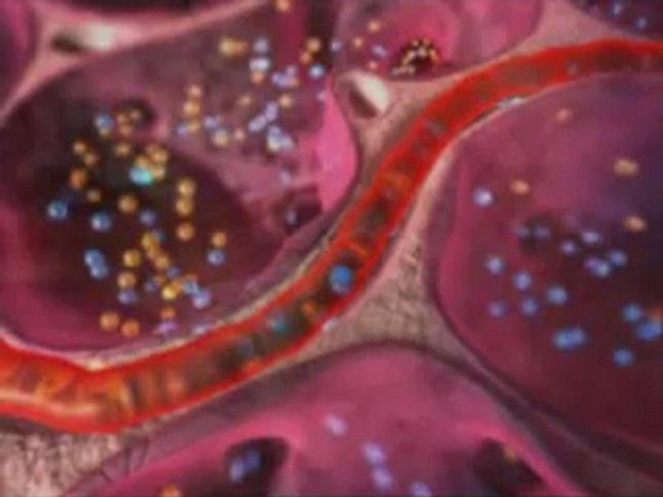 Diksiyon eğitimi-Doğru nefes nasıl alınır_