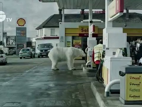 A Homeless Polar Bear in London