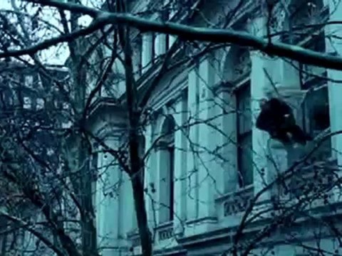 Kinotipps der Woche vom 27. Oktober 2011