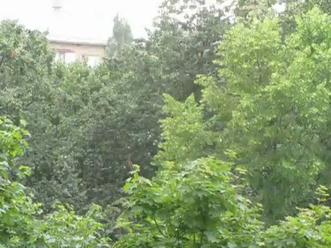 Долгожданный дождь